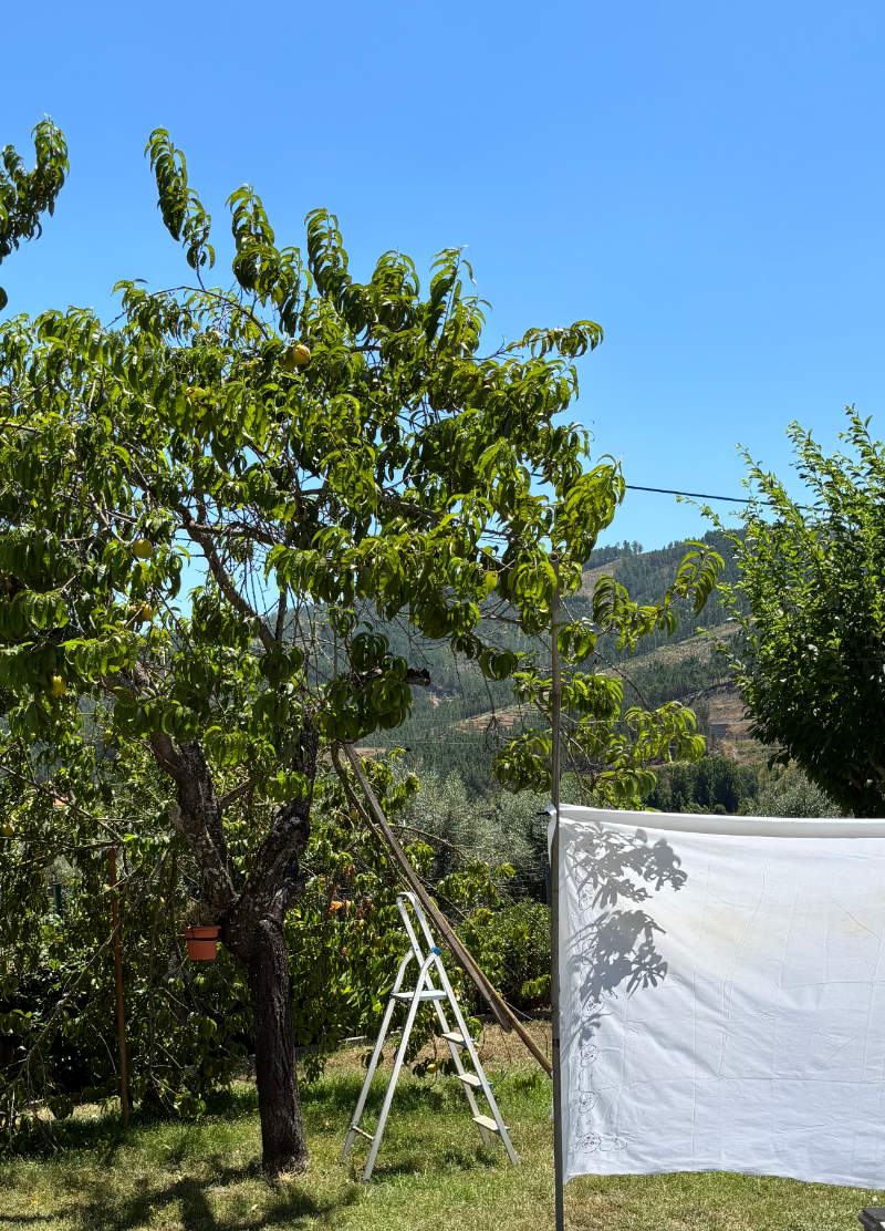 Nature & Love Nature & Love