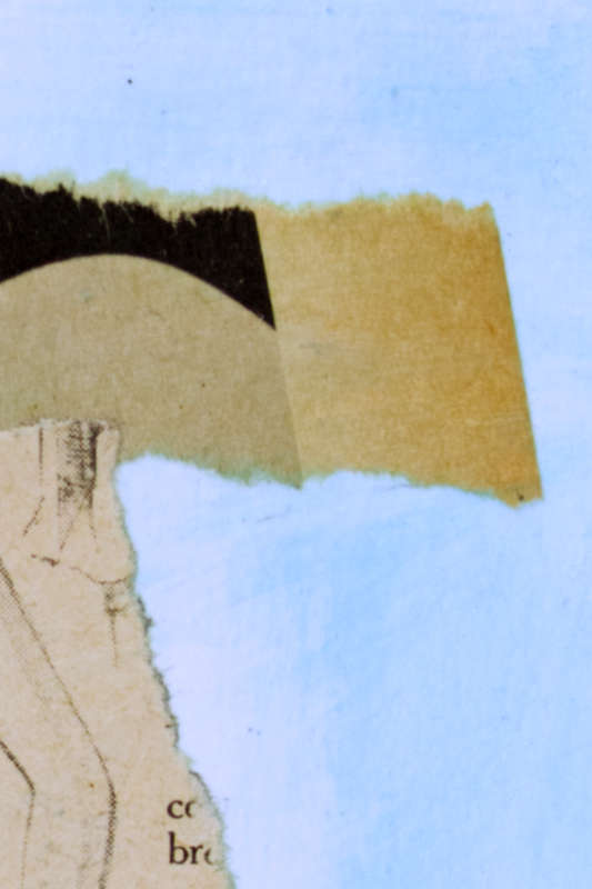 Detailed black and white paper cut-out, layered over a blue surface.