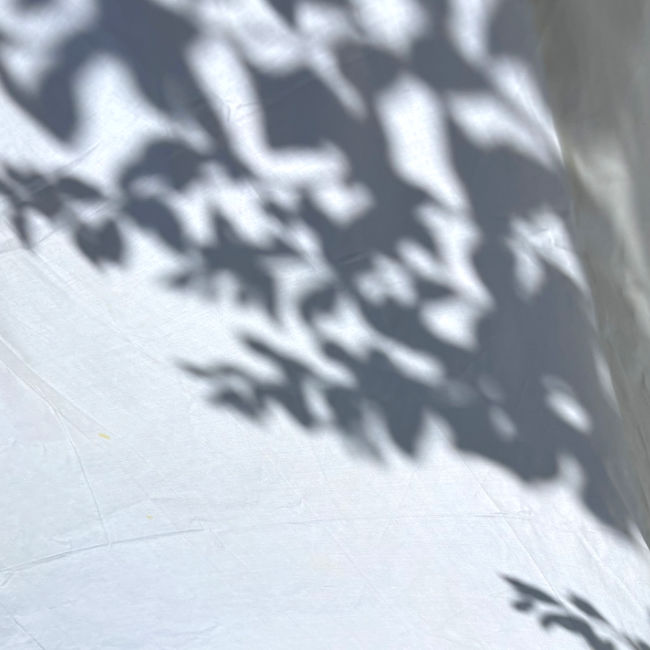 Macro image exploring the layers and dimensionality of cross-disciplinary art forms. Macro image exploring the layers and dimensionality of cross-disciplinary art forms.