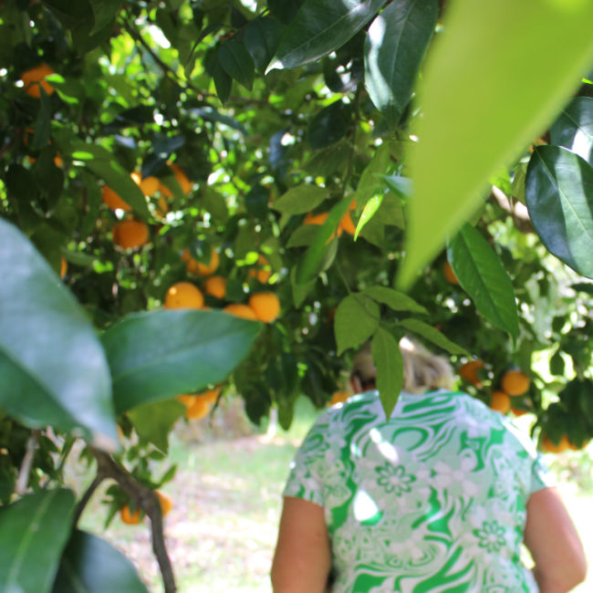 Still frame from a video created during an artist residency, exploring space and artistic practice. Still frame from a video created during an artist residency, exploring space and artistic practice.