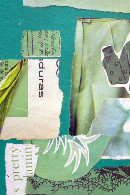 Green-toned collage artwork with overlapping layers, organic patterns, and hints of lighter and darker greens creating depth. Green-toned collage artwork with overlapping layers, organic patterns, and hints of lighter and darker greens creating depth.