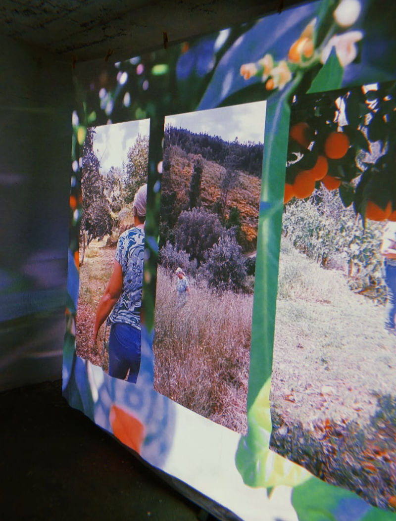 Video projection with layered landscape imagery, Bravo, Sertã, 2024